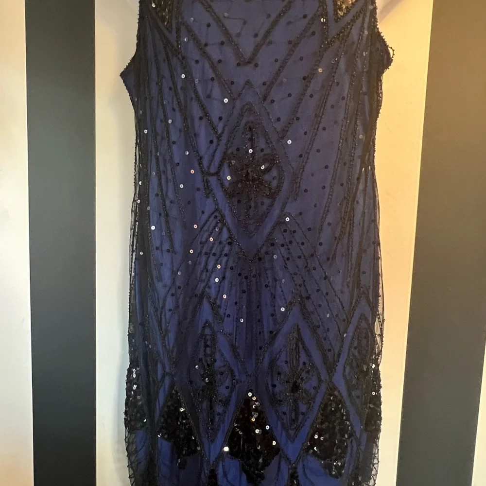 Women’s 20’s Gatsby Cocktail Sequin   Fringe Flapper Dress XXL - Picture 3 of 9